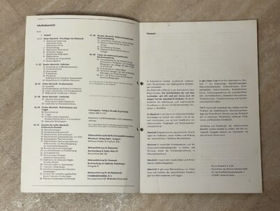 Elektronik im Motorfahrzeug Reparaturanleitung Bucheli 169 170