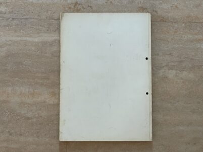 VW Typ 4 Bucheli Auto-Reparaturanleitung mit Maß- und Einstelltabelle Nr. 201