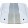 Shelby GT500 GT-H CS6 Motorhaube 2005 - 2009
